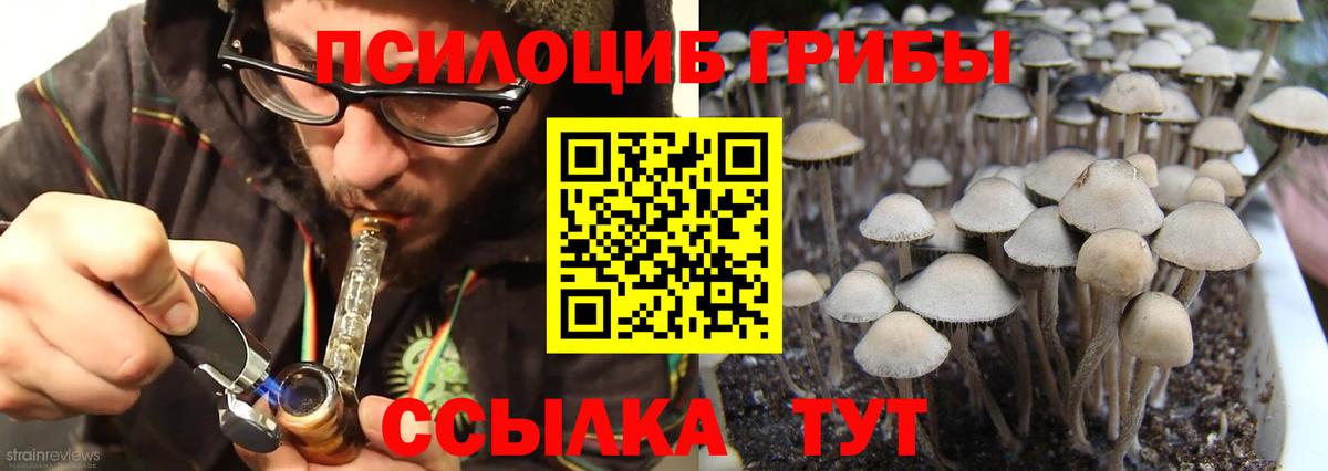 Псилоцибиновые грибы прущие грибы Гудермес