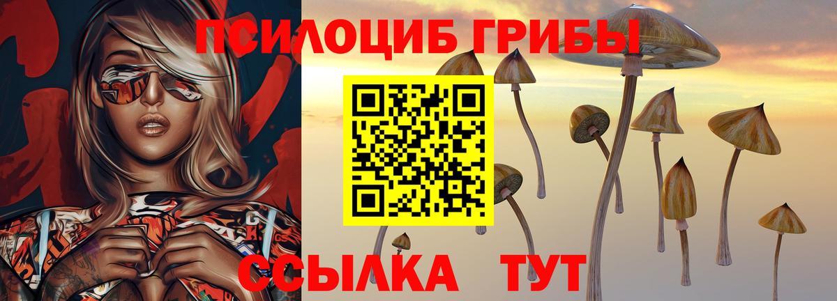 Гудермес  Галлюциногенные грибы прущие грибы  Вход с VPN 