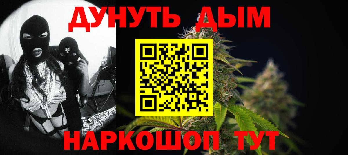 Конопля сатива Гудермес